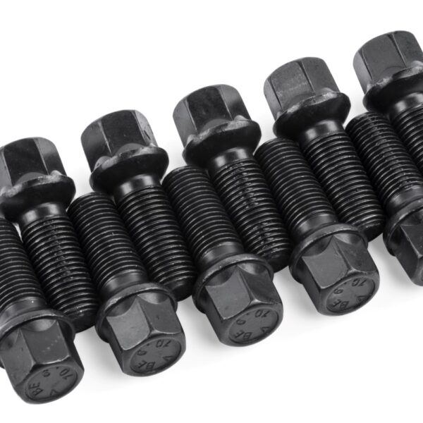 APR Lug Bolts (Set of 10) - 35mm