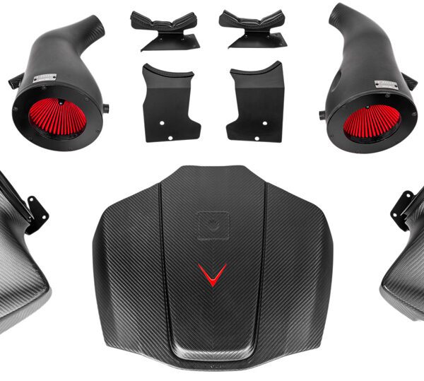 Mercedes C190/R190 AMG GTR, GTS, GT MATTE Finish